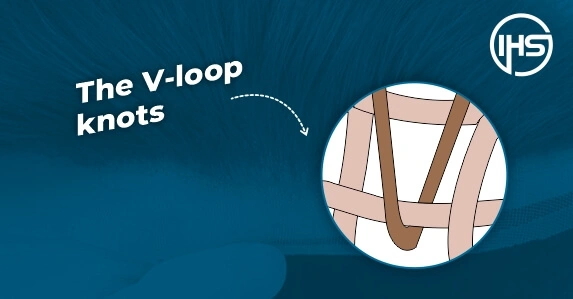 The V-loop knots