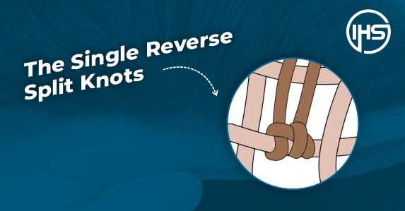 The single reverse split knots